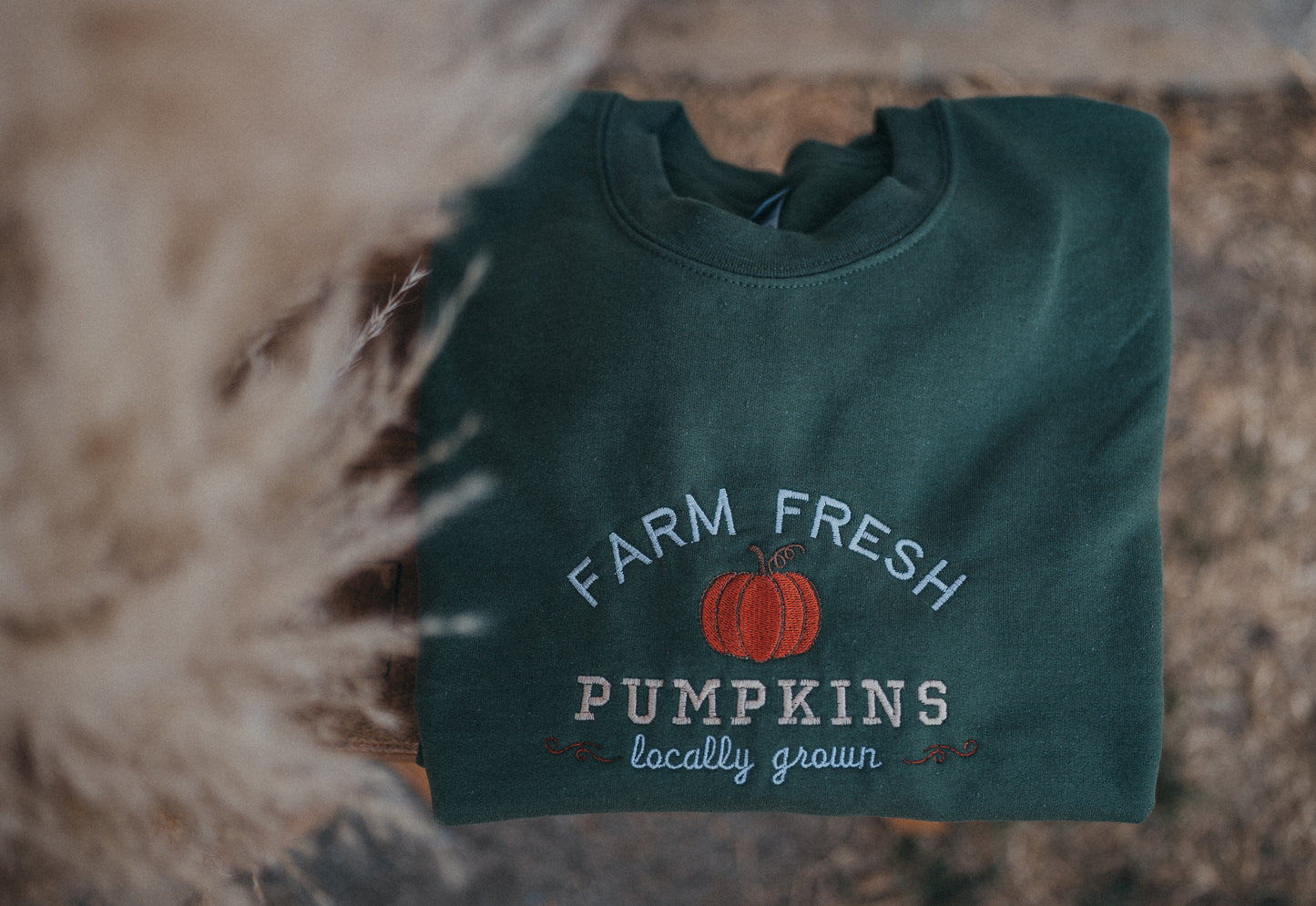 Pumpkin Embroidered Crewneck Sweatshirt