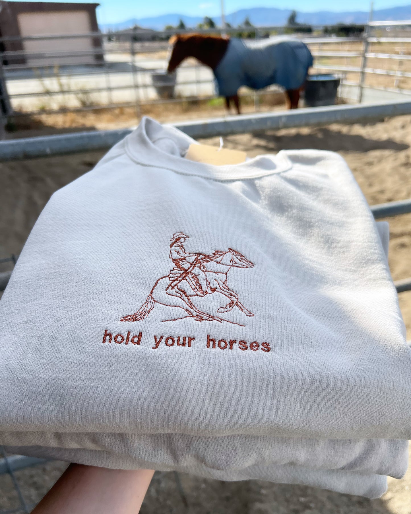 Hold Your Horses Embroidered Crewneck Sweatshirt