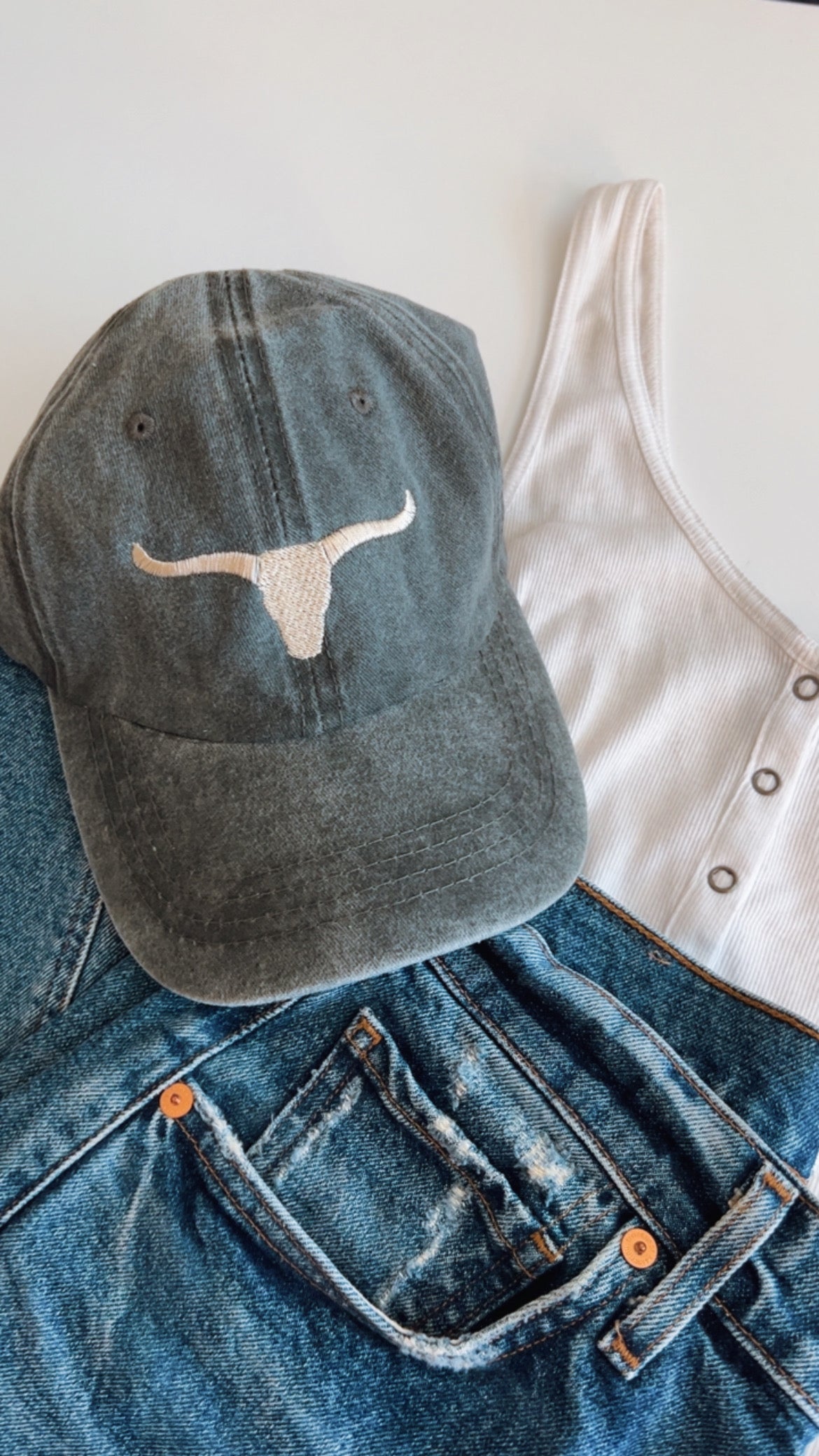 Longhorn Embroidered Hat